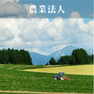 農業法人